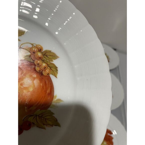 Vintage Hutschenreuther Germany Fruit Motif Plate Set Of 6 8" Diameter - Picture 5 of 12